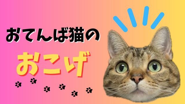 ツンツン猫おこげの日常｜こげ茶アメショ女子のおてんばに癒される暮らし