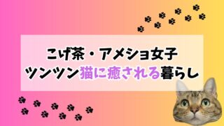 ツンツン猫おこげの日常｜こげ茶アメショ女子のおてんばに癒される暮らし