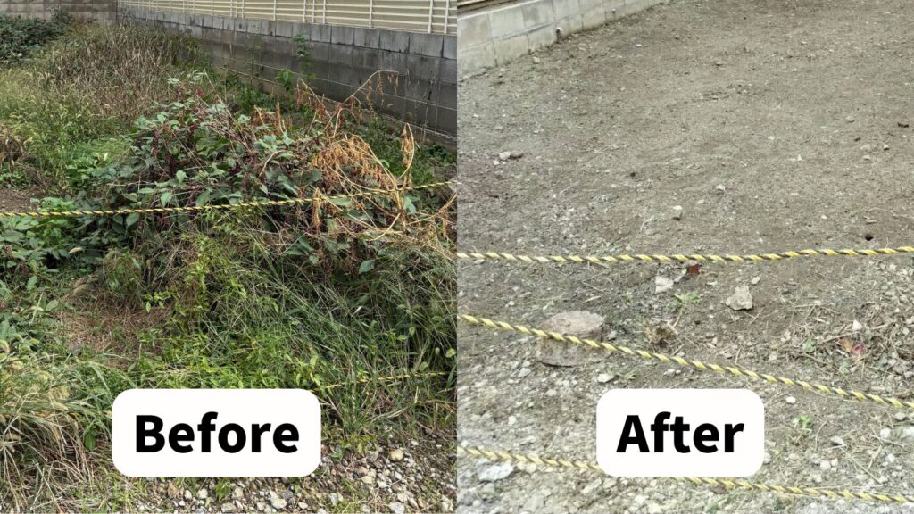 土地の雑草撤去